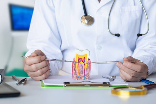 Best Broken Tooth Emergency  in Beaver, UT